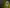 Short Banner 1.1